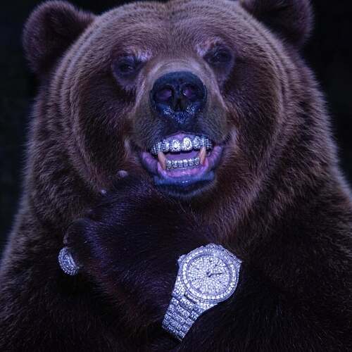 me-after-the-announcement-tomorrow-v0-od3l6dggbhsg1