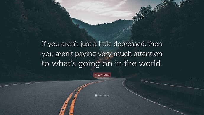 4873170-Pete-Wentz-Quote-If-you-aren-t-just-a-little-depressed-then-you