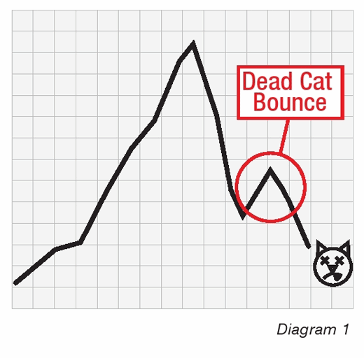 What Does Dead Cat Bounce Mean In Stock
