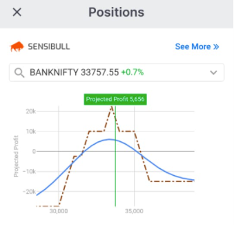 IronFly with No Loss Strategy Pay Off Graph and Other payoff graphs
