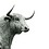 keshav_02